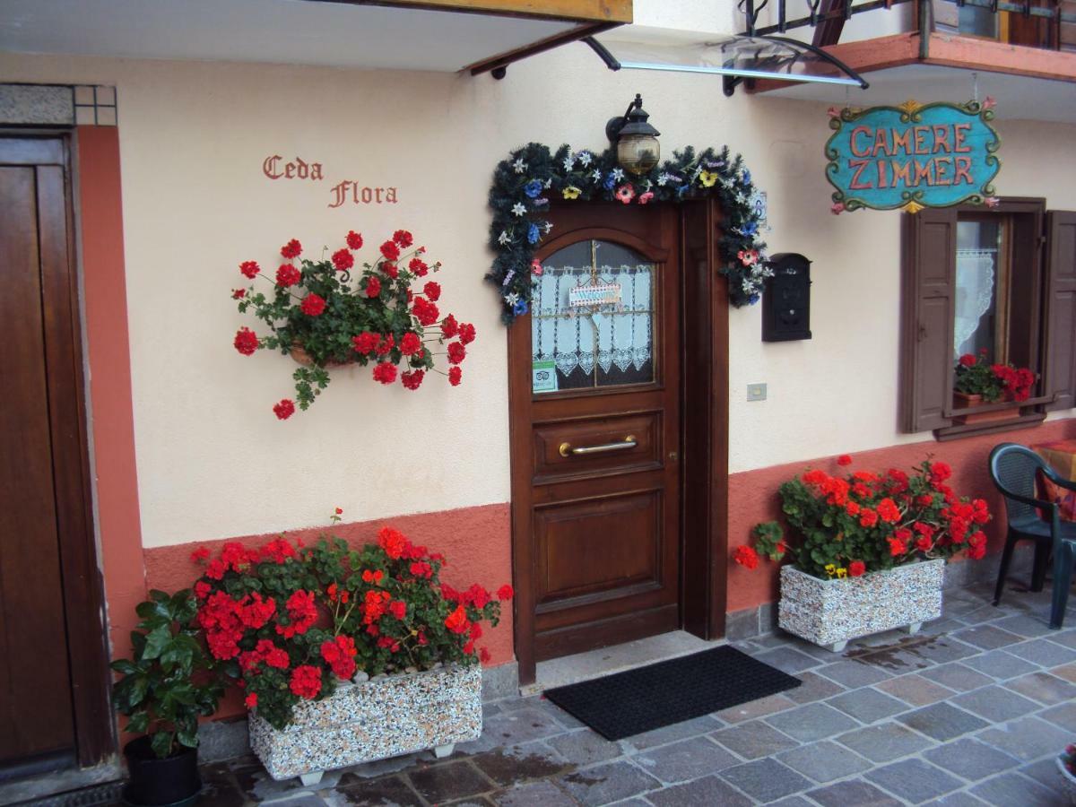 La Casa Di Beppe Appartamento E Camere Danta Exterior foto